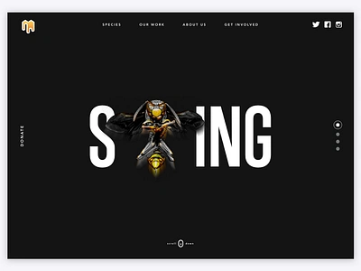 STING landingpage ui ux