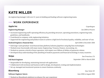 Resume Design - Bellatrix