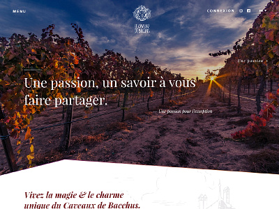 Le savoir Faire de l'oenologie design photoshop project shop storytelling ui wine