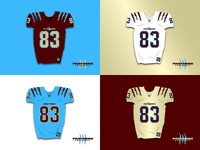 Michigan Panthers Resurrection | Jerseys