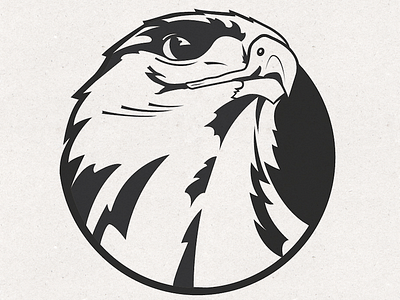 Hawk Mascot/Logo Design drawing eagle graphic design hawk logo mascot sketch