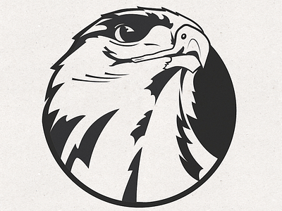 Hawk Mascot/Logo Design