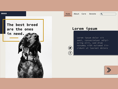 Doggo adopt adoption dog pet puppy shelter ui ux