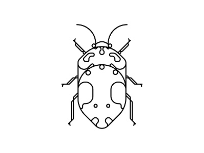 Coleoptera Beetles beetle design icon illustration oksal yesilok poster poster design vector