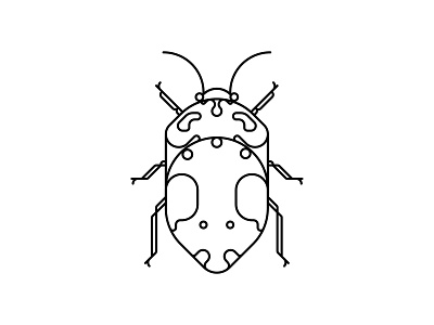 Coleoptera Beetles