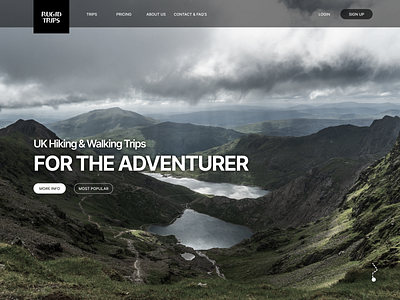 Adventure Website Design adventure buttons design figma headings icons nav text ui ux web website design