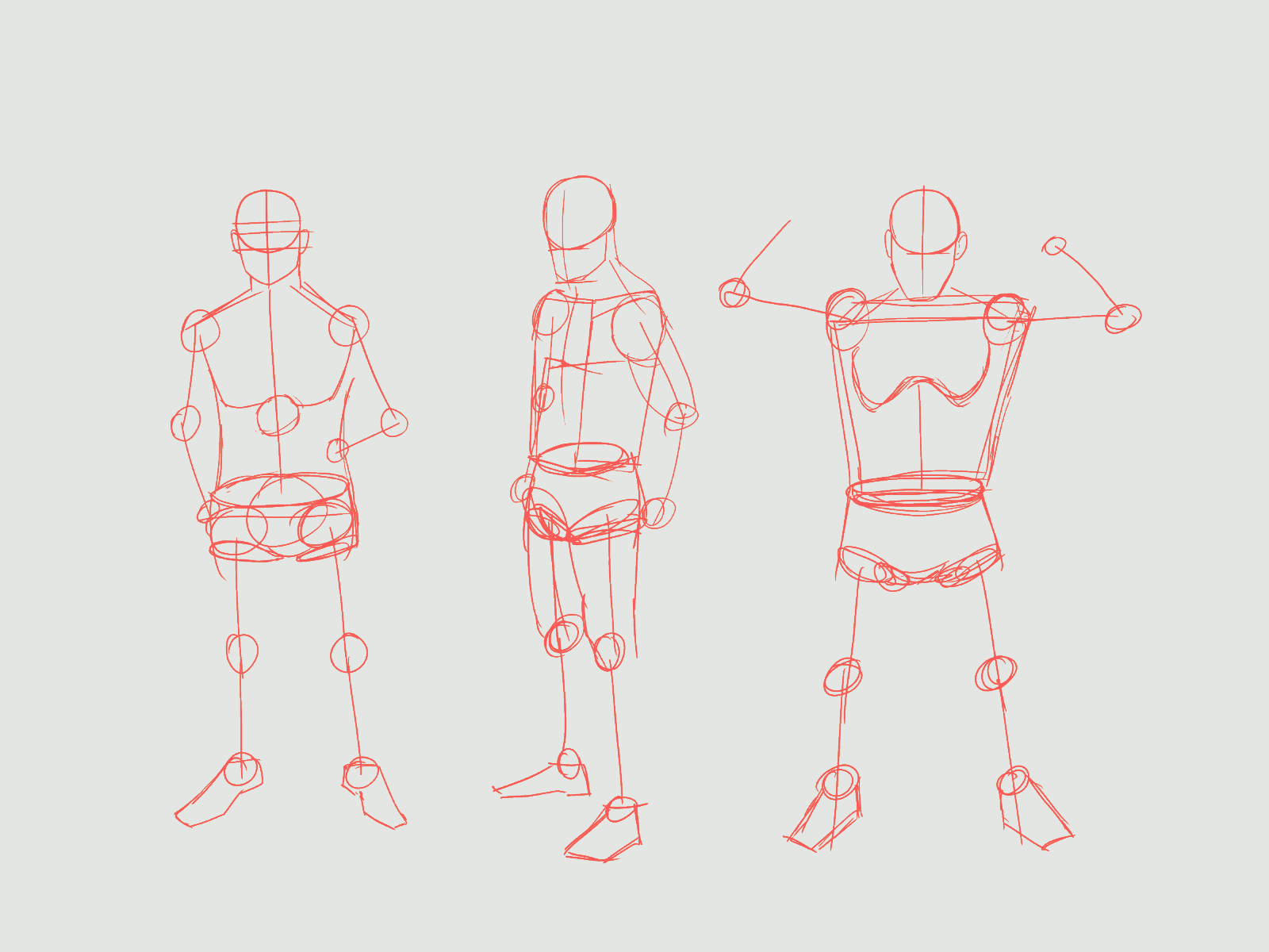 Conor McGregor - Breakdown character animation character design conor mcgregor gif illustration vector art