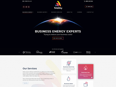 Business Consultant Company Website typography ui website design