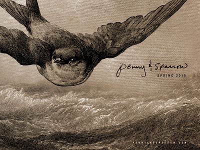 Penny & Sparrow illustrator photoshop print