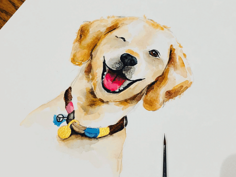 Dog's lover art design dog doodle drawing inspiration paint painting puppy watercolor