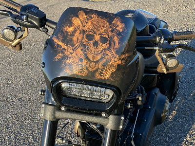 Skull Design x Harley-Davidson digital art illustration skull