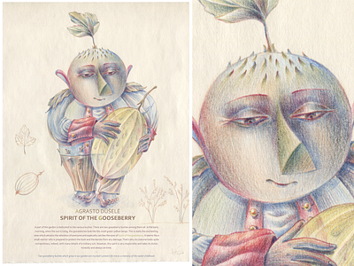 SPIRITS OF THE GARDEN. Spirit of the Gooseberry art character character design color pencils drawing fine arts graphic hand drawing idea illustration nature pencil pencil drawing picture visual art visual story watercolor pencils
