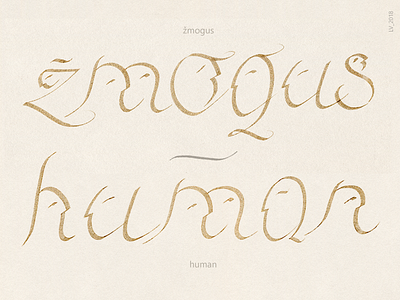 FACES OF LETTERS: žmogus / human calligraphy hand human language latin letter lithuanian type word writing