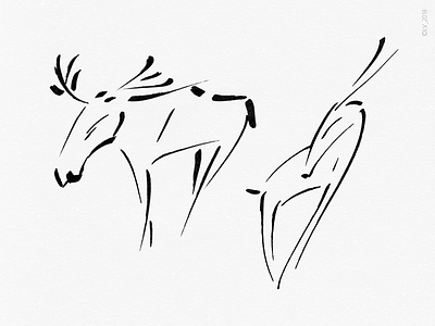 WILDLIFE: an elk and a roe deer black drawing elk hand illustration ink minimalism nature parallel pen white