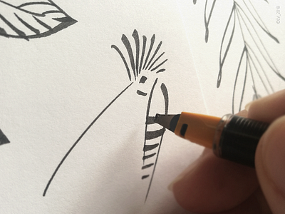 WILDLIFE: a hoopoe. black drawing hand hoopoe illustration ink minimalism nature parallel pen white