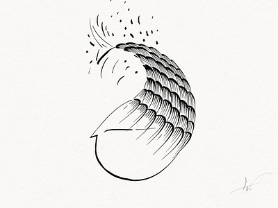 Pen Ink designs, themes, templates and downloadable graphic elements on  Dribbble