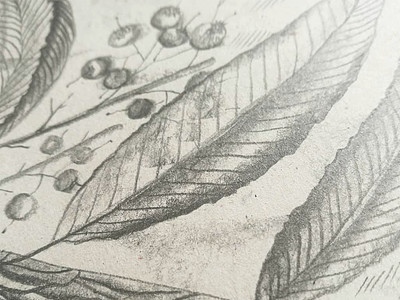 Wooden dragons_1 (a detail) black white illustration character design drawing drawing process fantasy fine arts graphite graphite drawing graphite illustration hand drawing illustration imagination
