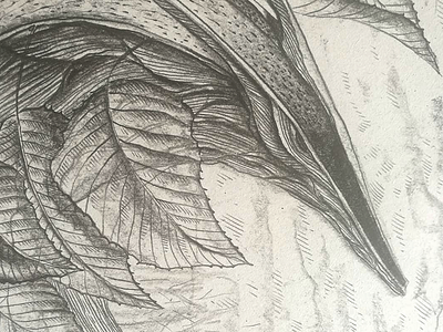 Wooden dragons_3 (a detail) concept art drawing fine arts graphite graphite drawing graphite illustration hand drawing illustration nature traditional drawing technique