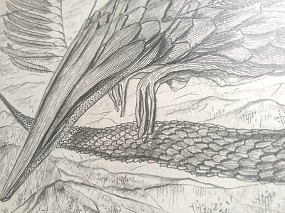 Wooden dragons_2 (details) character character design creature drawing fantasy fine art fine arts graphite graphite drawing graphite illustration hand drawing illustration image imagination nature nature inspiration picture tale character traditional art traditional graphic