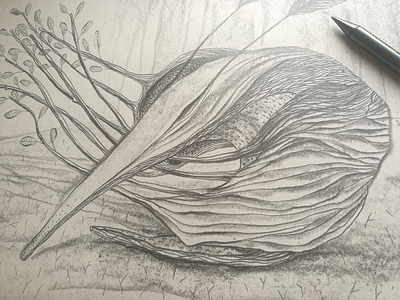 Wooden dragons_7 (details of process) character design drawing graphite graphite drawing hand drawing illustration nature