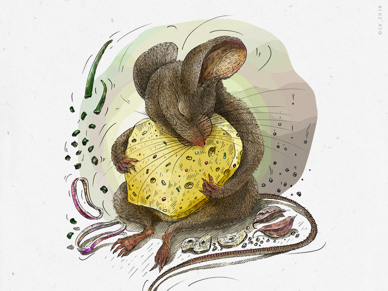 Mouse and cheese with onion and garlic (Veggo project) by Laimute