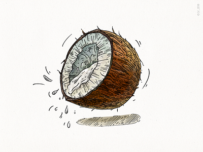 Coconut (Veggo project)