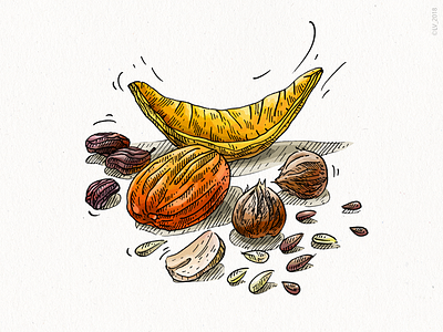 Dried fruits, seeds and nuts (Veggo project) adobe photoshop digital drawing eco friendly food food illustration gidital illustration graphic hand drawing illustration nuts products psd seeds wacom intuos