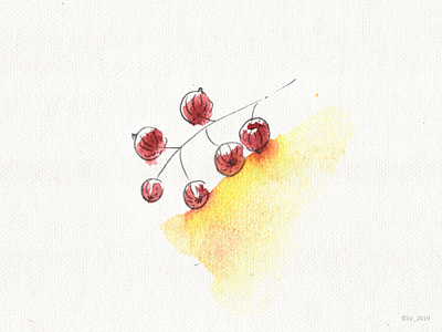 Red currants hand drawing illustration light nature red water colors