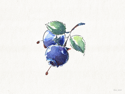 Blueberry