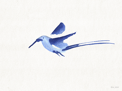 Blue bird bird blue hand drawing illustration nature water color