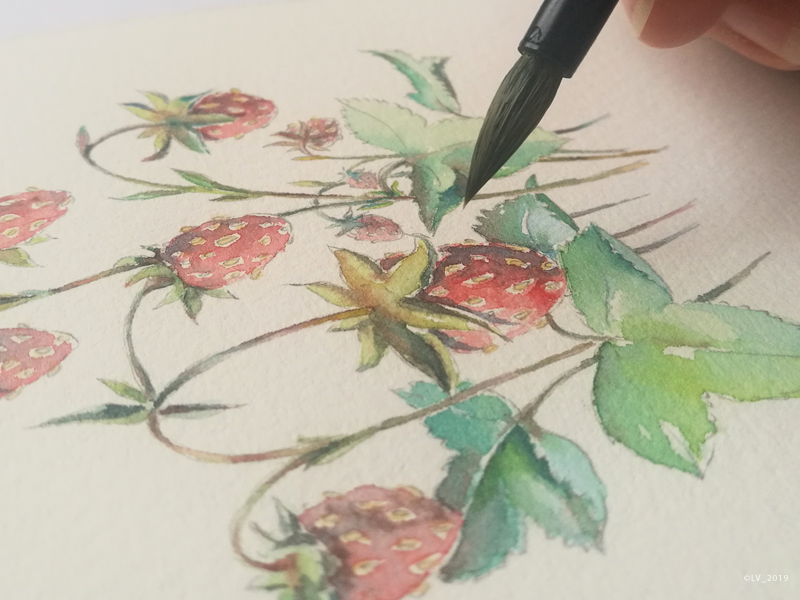 When we do not rush — we start to see strawberries brush handmade strawberries water color nature illustration nature graphic hand drawing drawing illustration