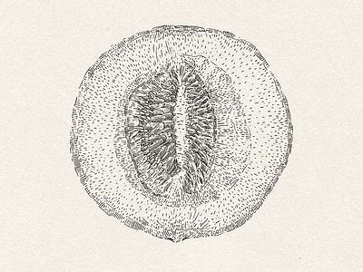 A graphic study of melon