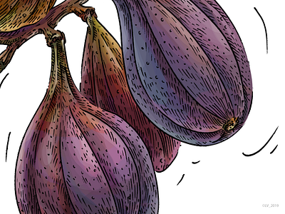 Figs_illustration for Veggo brand (detail) adobe photoshop digital drawing food illustration graphic hand drawing illustration nature