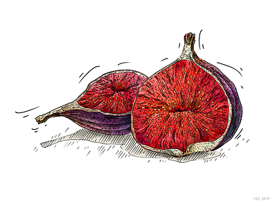 Figs_Illustration for Veggo brand adobe photoshop digital drawing graphic hand drawing illustration nature wacom intuos