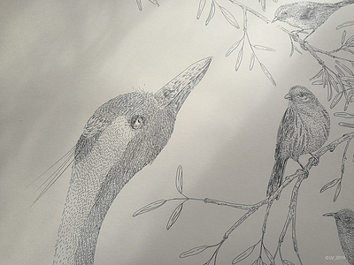 Birds (detail) bird drawing graphic hand drawing handmade illustration ink ink illustration marker nature