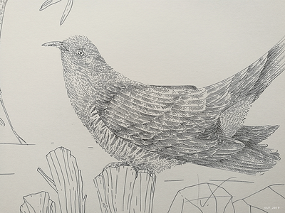 Birds (detail)