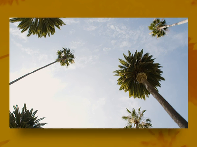 Beverly Hills Golden Surgery Center california design gold health care medical design palm trees principle app prototype animation sketch surgery visual design website yellow