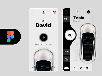 Tesla Car App Design