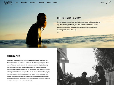 Hi, My Name Is Andy art design ecommerce surf website