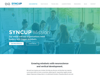 SyncUp Web v1 about page certification coaching leadership neuroscience responsive web design san diego web design wordpress