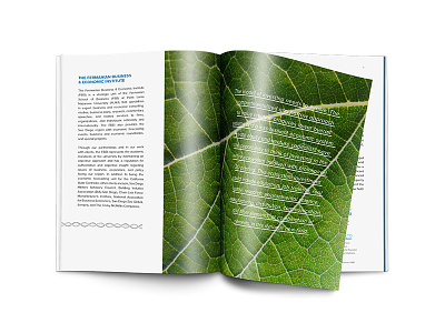 DVG Publication Interior 3d printing bioinspiration biomimicry identity plnu san diego web design