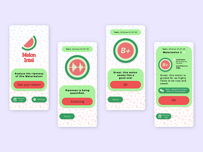 Melon Intel Flow app branding design flow fruit machine learning melon mockup ui vector web