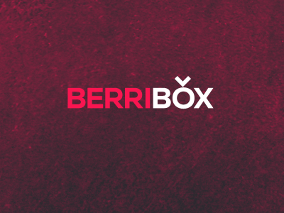 Berribox: The logo