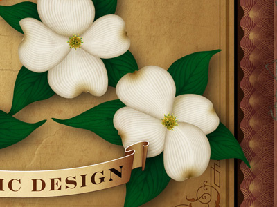 Dogwoods dogwood flower vector