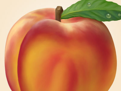 Bellini Peach illustration painting peach