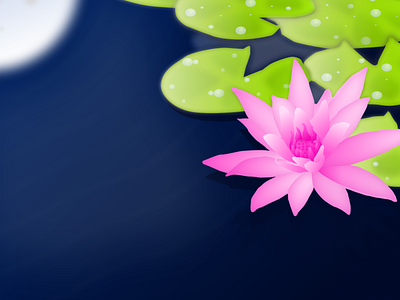 Lotus Illustration flowers illustration art illustrator lotus