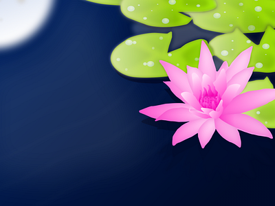 Lotus Illustration