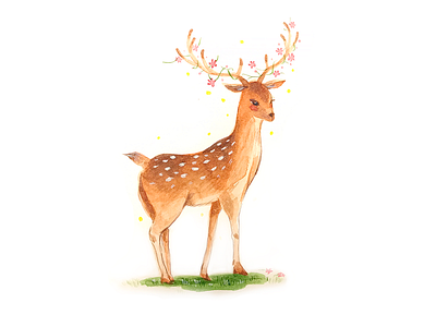 Watercolor Deer animal color cute deer effyzhang flower illustration lovely pure spring ui watercolor