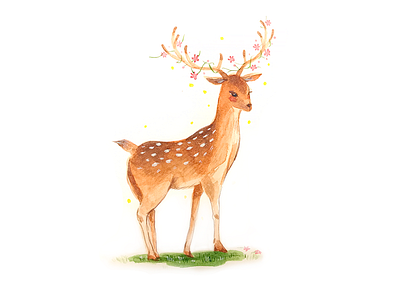 Watercolor Deer