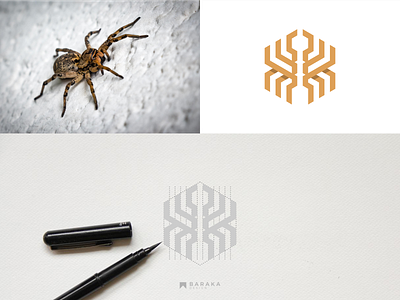 geometric spider logo abstract branding geometric graphic design logo logodesign shape spiderlogo ui ux vector